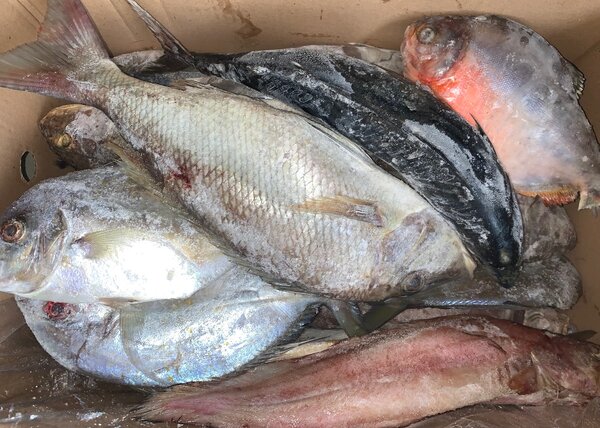 Variétés *Mixtes et fraîches*