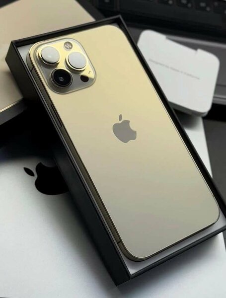 iPhone Pro Max Or
