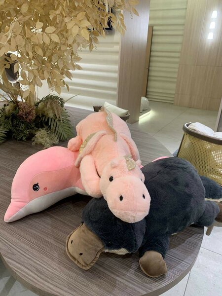 Игрушки: Дракон,утканос и дельфин