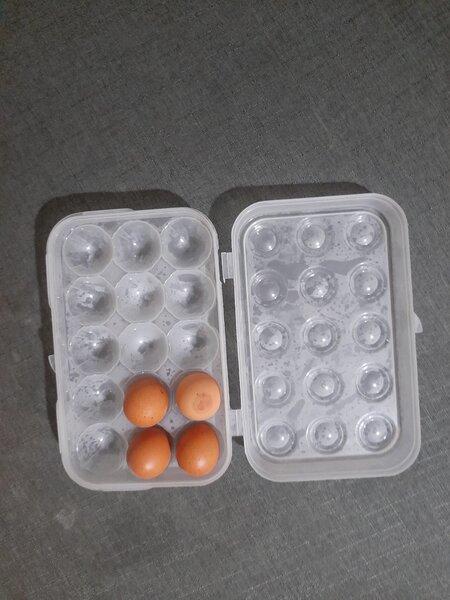 Range-oeuf