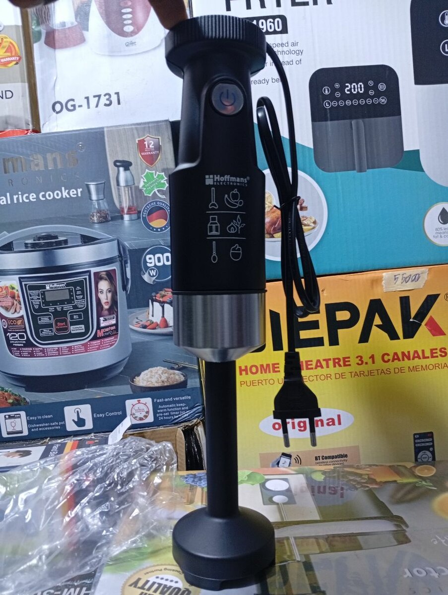 Mixeur plongeant Hoffmans 900W