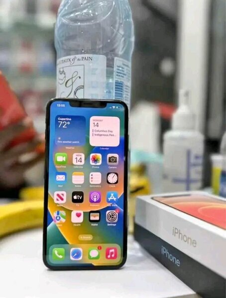 Smartphone iPhone 256 Go