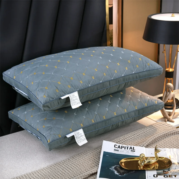 Oreiller coussin