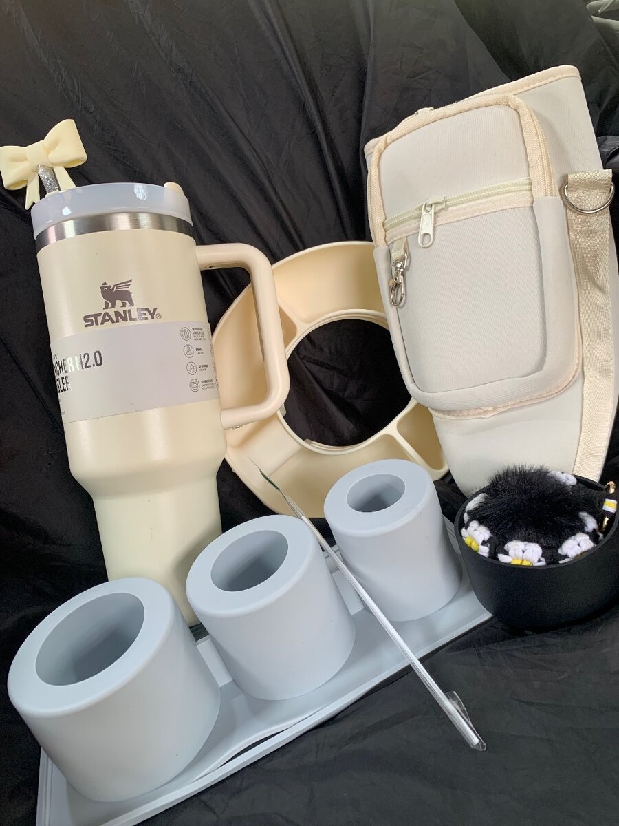 Ensemble de bouteille et sac isotherme