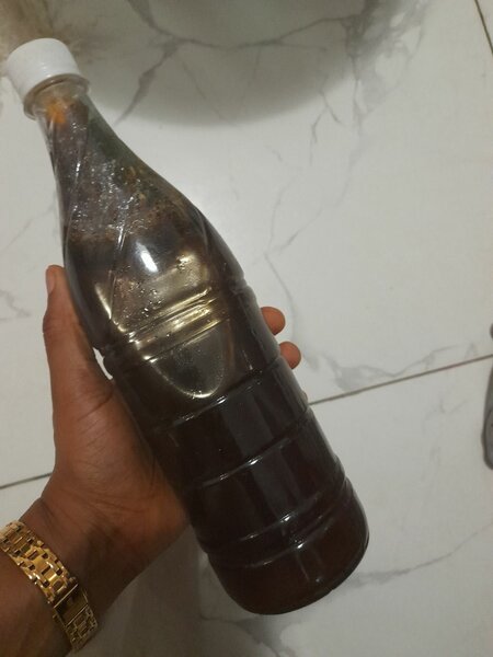 Miel Bio de Tingrela