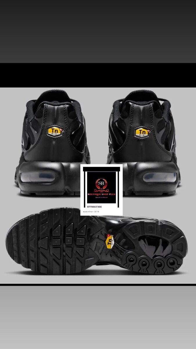 Basket nike tn authentique avec sa boîte