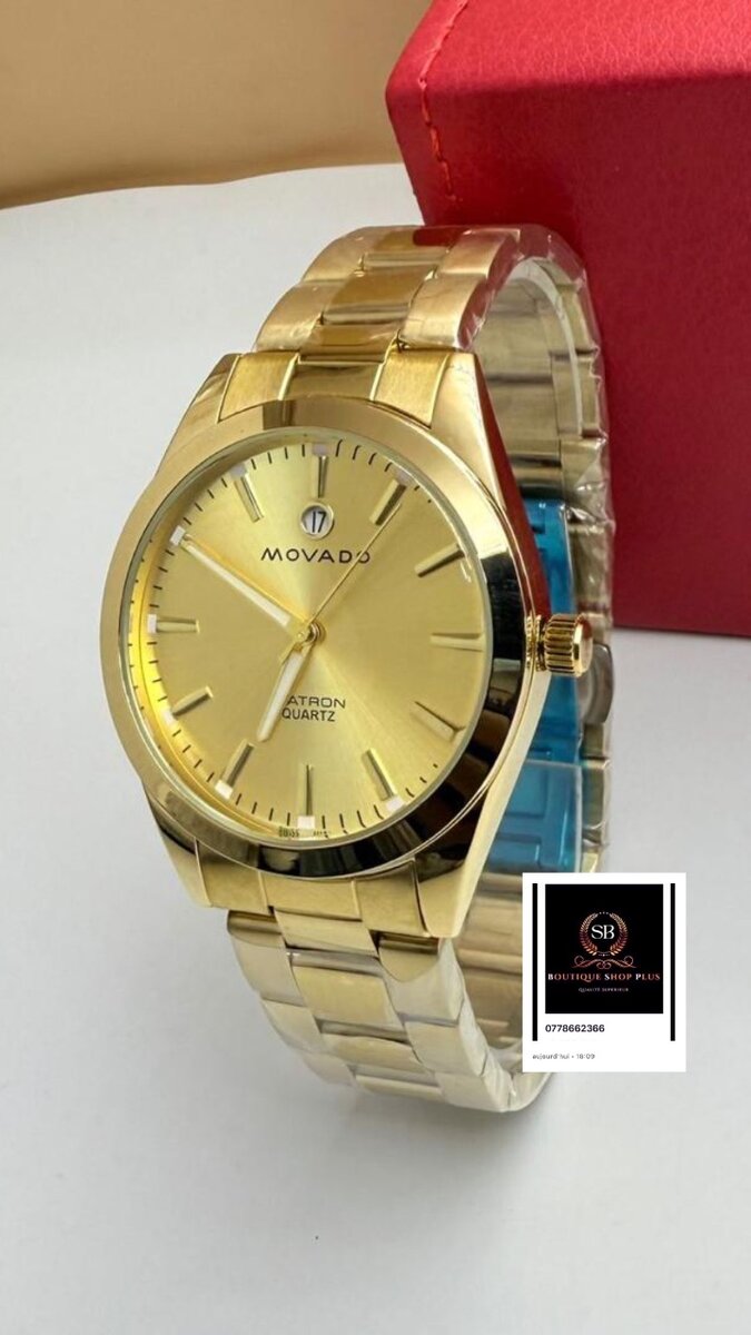 Montre  Homme Quartz Dorée