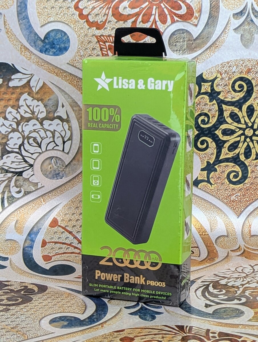 Lisa and Gary power bank charges 20000mAh