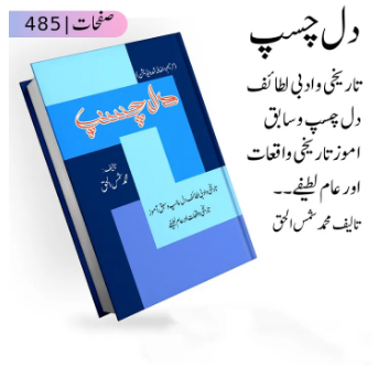 Dilchasp by Muhammad Shamsul Haq