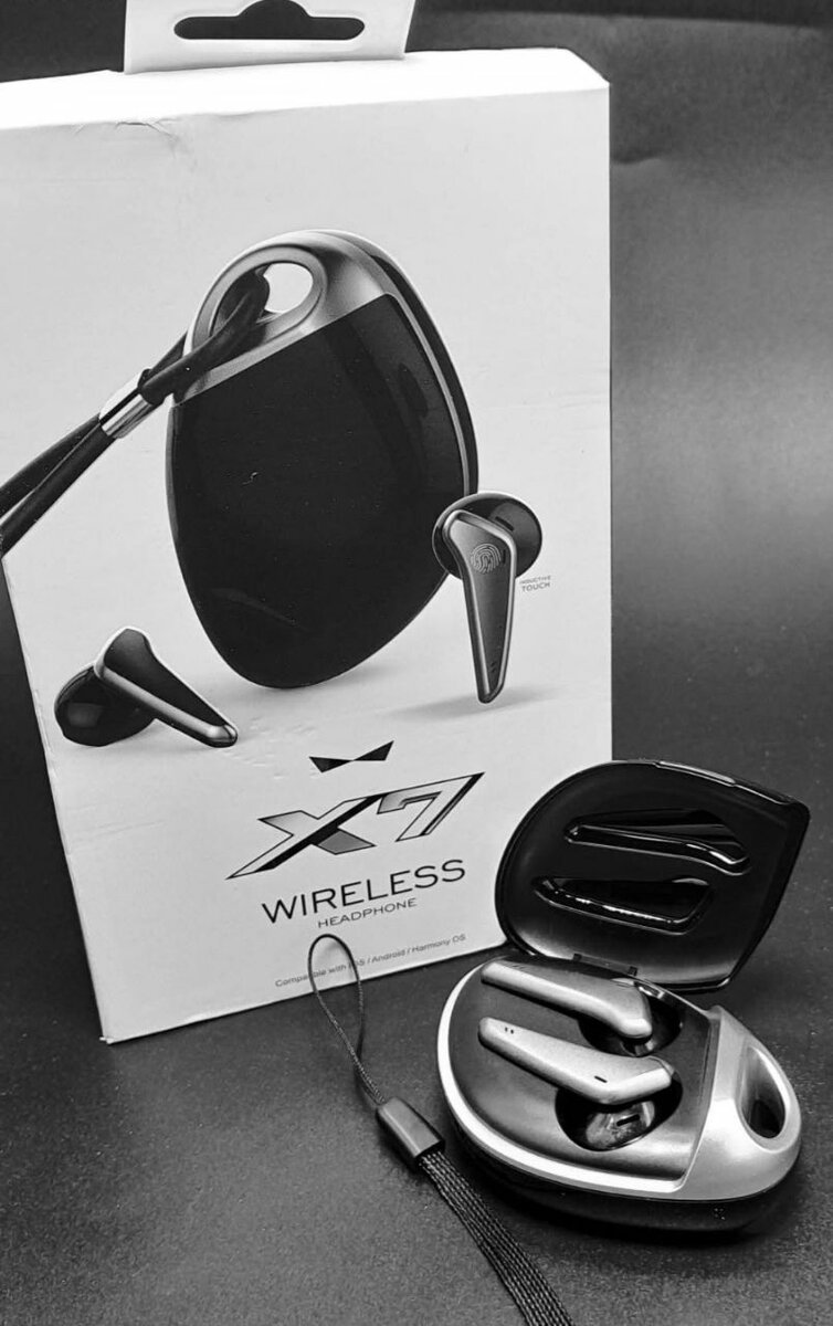 Écouteurs sans fil x1