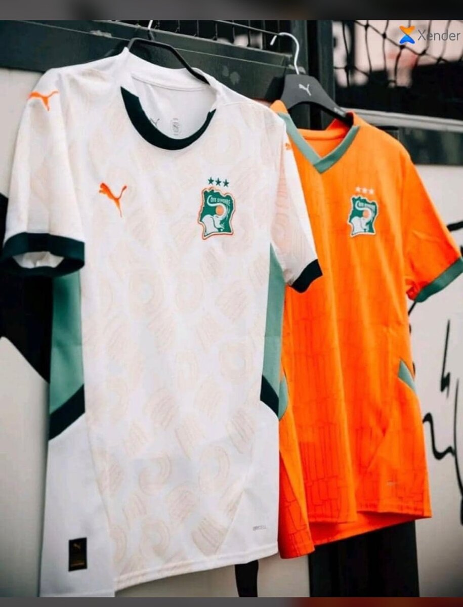 Maillot pro (original, authentique) disponible