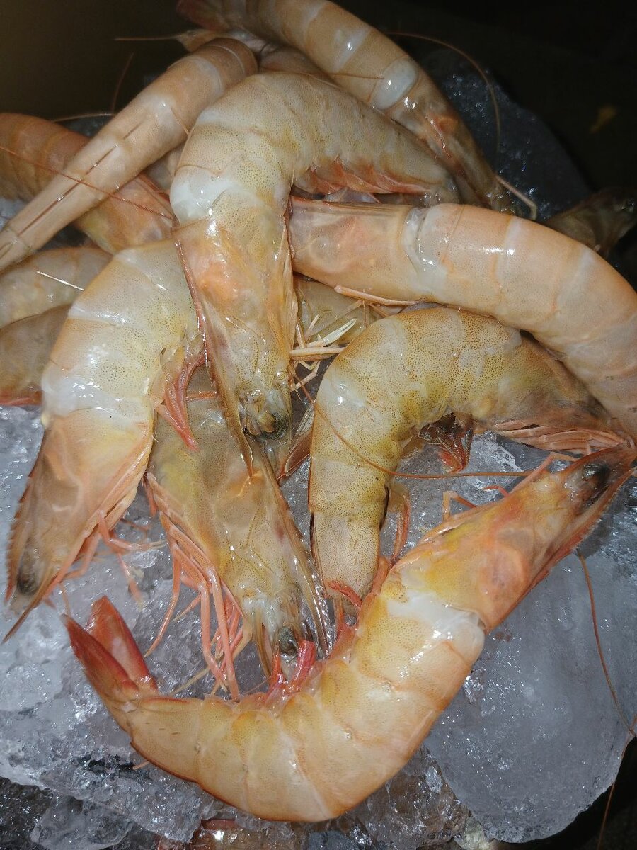 Crevettes