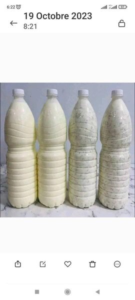 Délice,shopping2 S.C