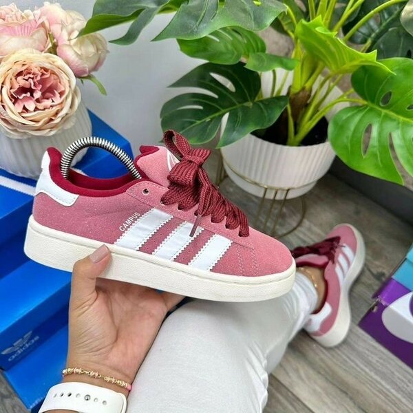 Basket adidas campus