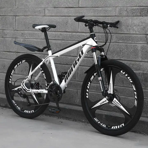 Vélo pour adulte