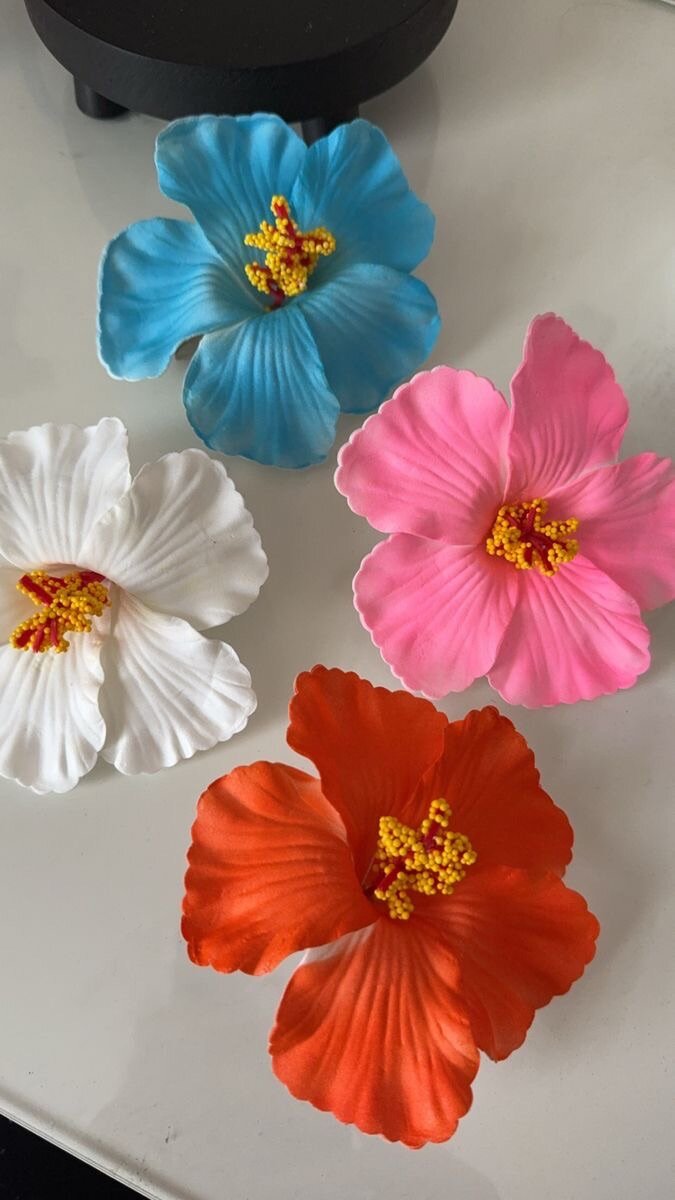 Fleurs de cheveux tropicales