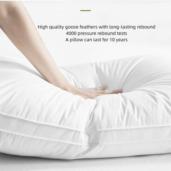 Lot de 4 oreillers orthopédiqu