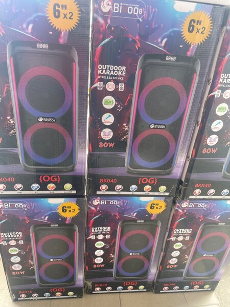 Enceinte Karaoké Portable 80W