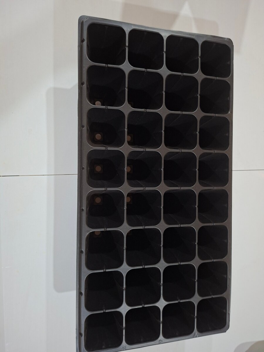 Plateau de multiplication 24 cellules