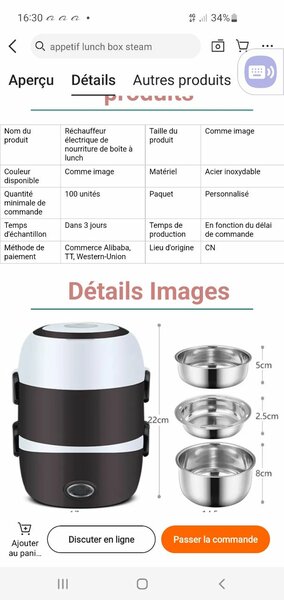 Lunch chauffantes électrique