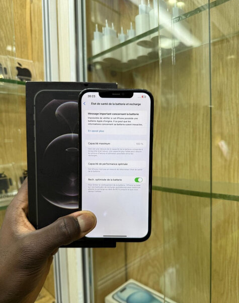 iPhone 12 Pro Max 256GB