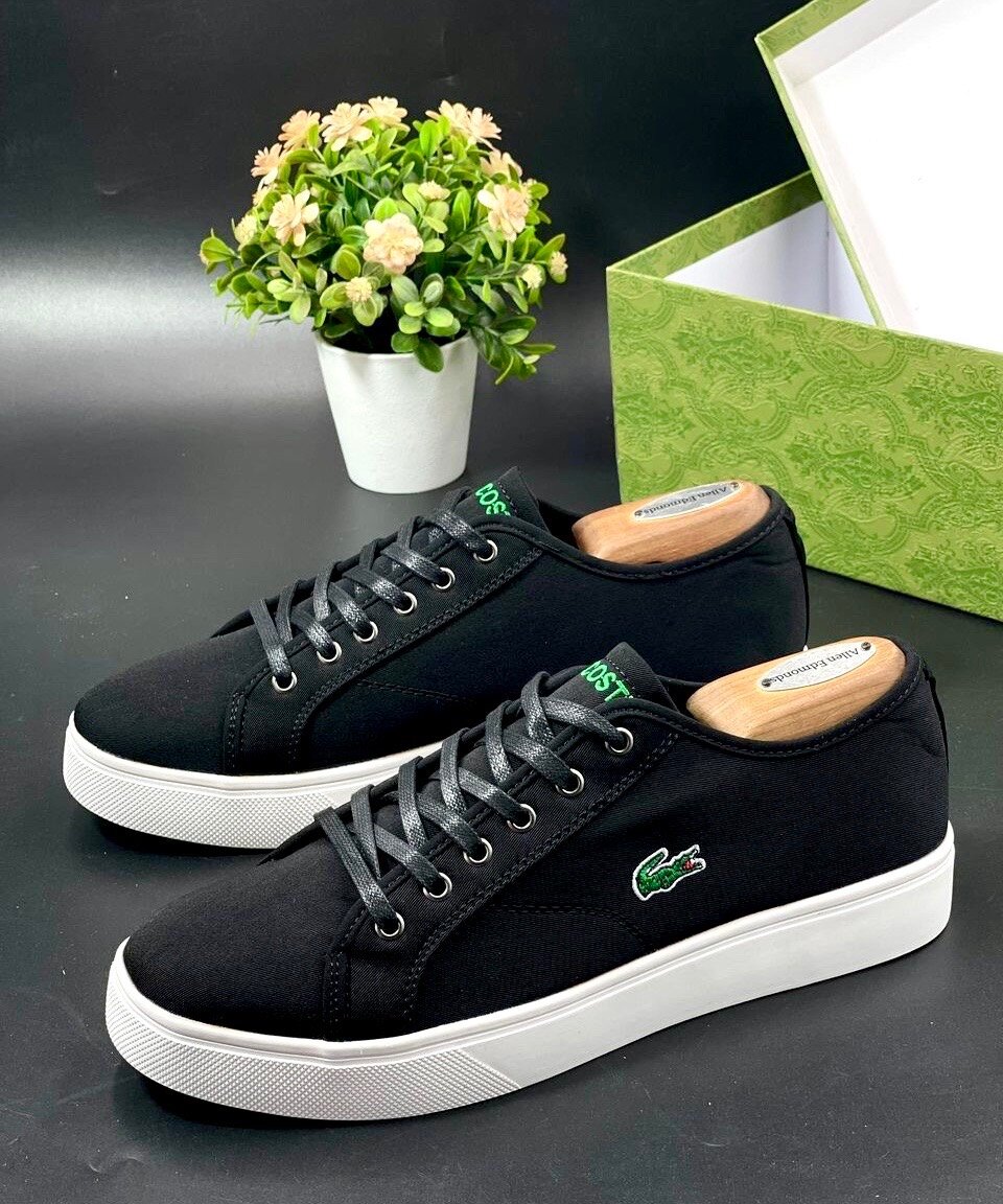 Lacoast & Tommy Hilfiger