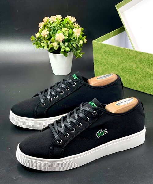 Lacoast & Tommy Hilfiger