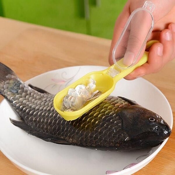 Écailleur de poisson ergonomique