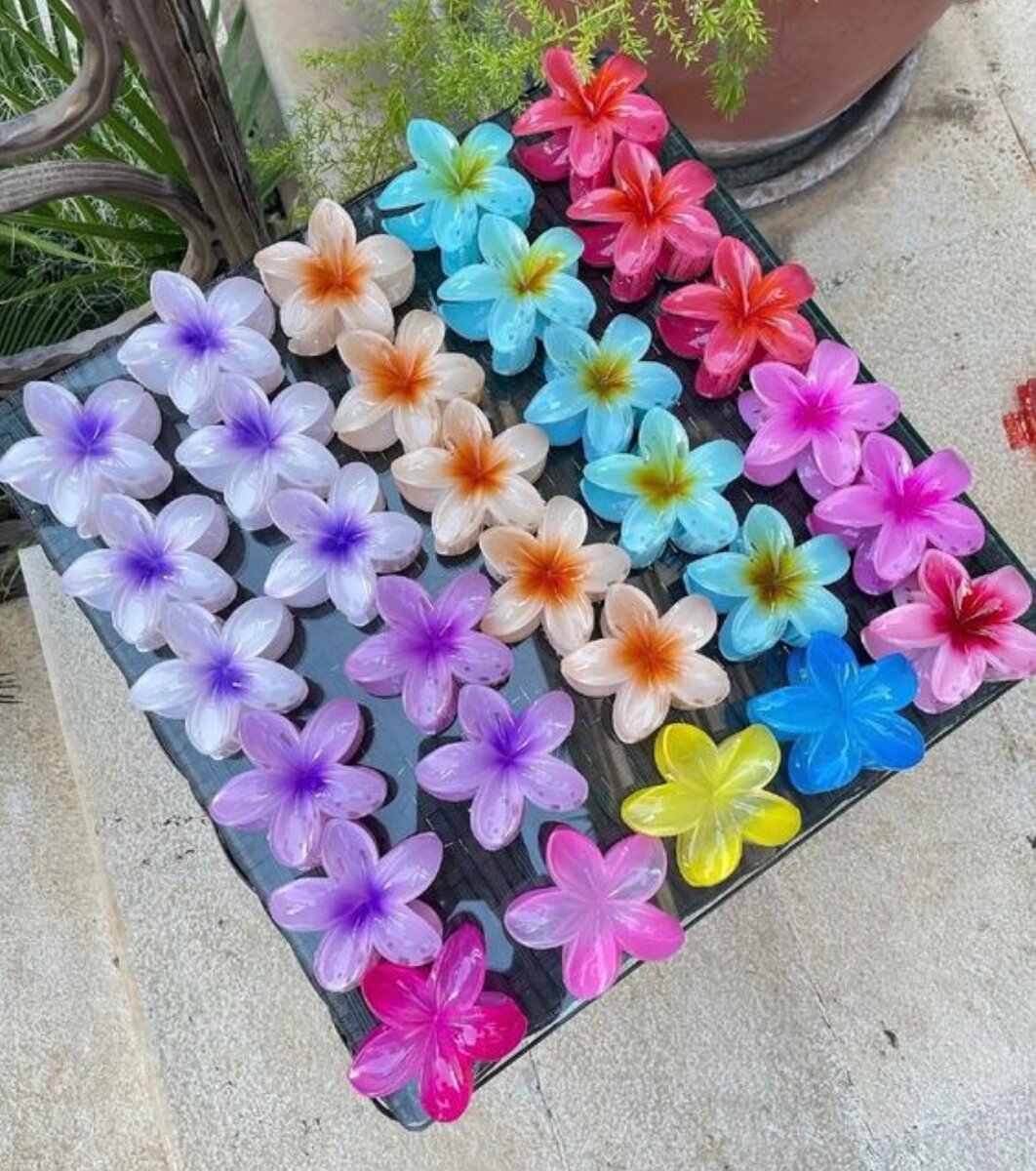 Pince à cheveux fleurs colorées