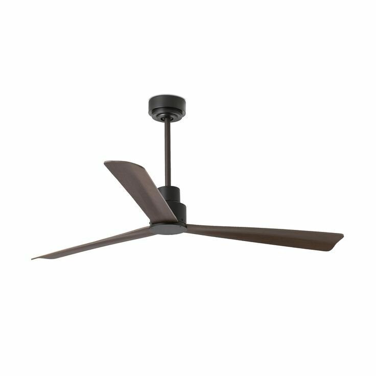 Ceiling fan