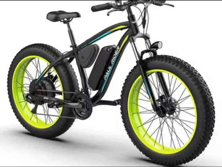 Vélo électrique Fat Bike tout-terrain