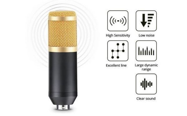 Micro à condensateur BM 800