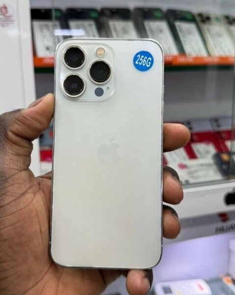 iPhone 256 Go Blanc Débloqué