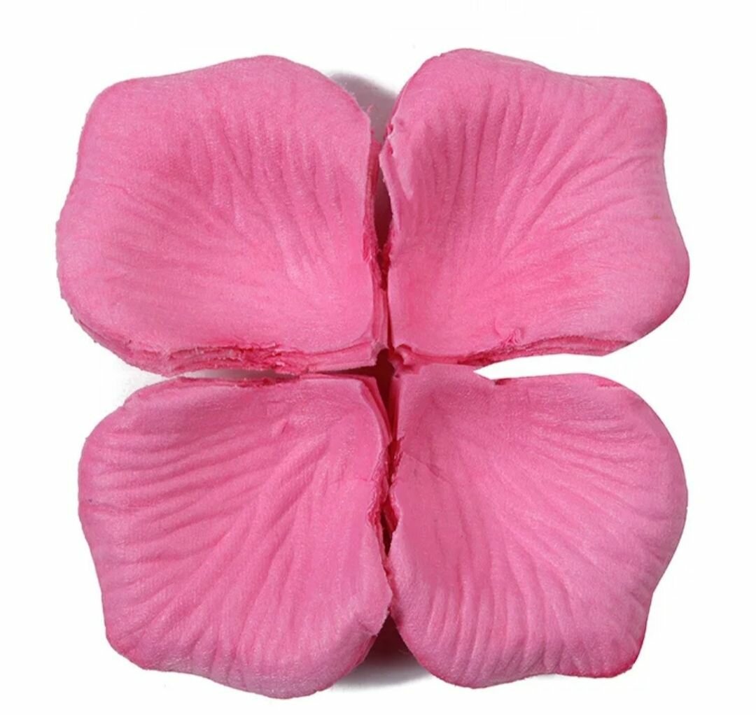 Pétales de roses 100pcs