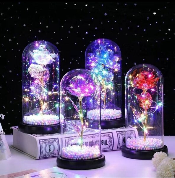 Красивая роза в куполе