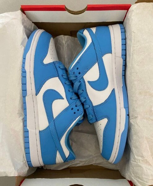 Baskets Basses Bleu et Blanc