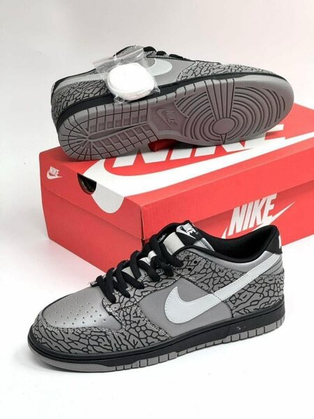 Nike SB sneakers