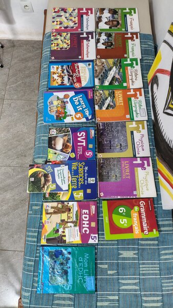 Lot de manuels scolaires