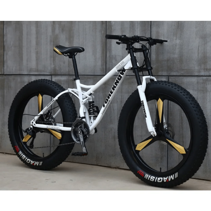 Vélo Fat Bike Tout Terrain