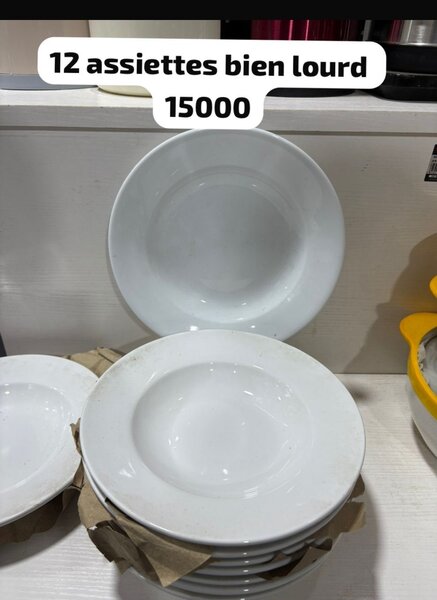 Assiettes en porcelaine robuste