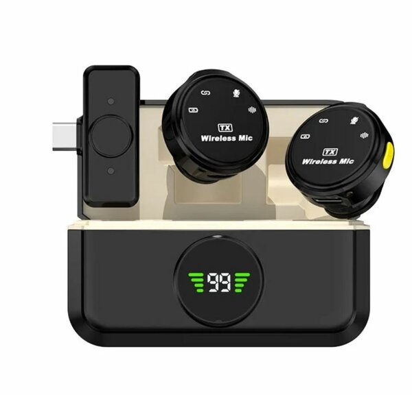 Microphone Professionnel