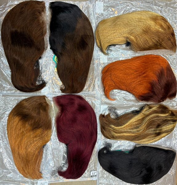 Coupe carré t12 frontal normal