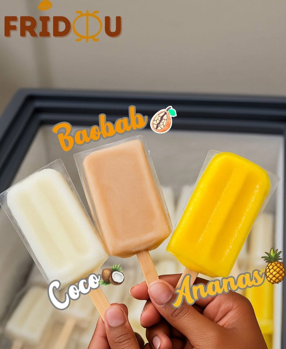 Pack de 12 Glaces FRIDOU