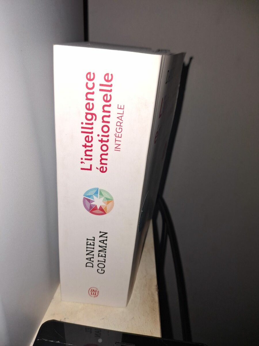 L intelligence émotionnelle
