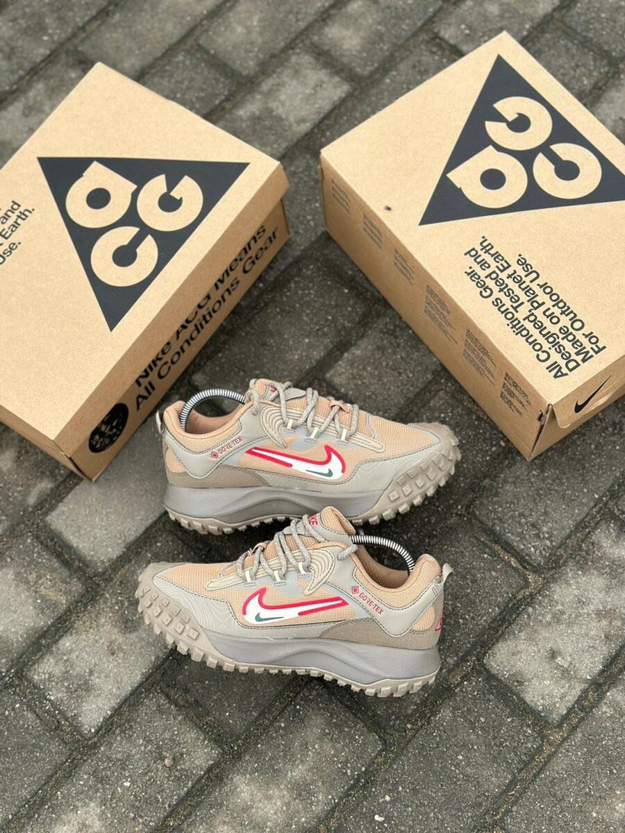 Nike ACG Mountain Fly Low GORE-TEX