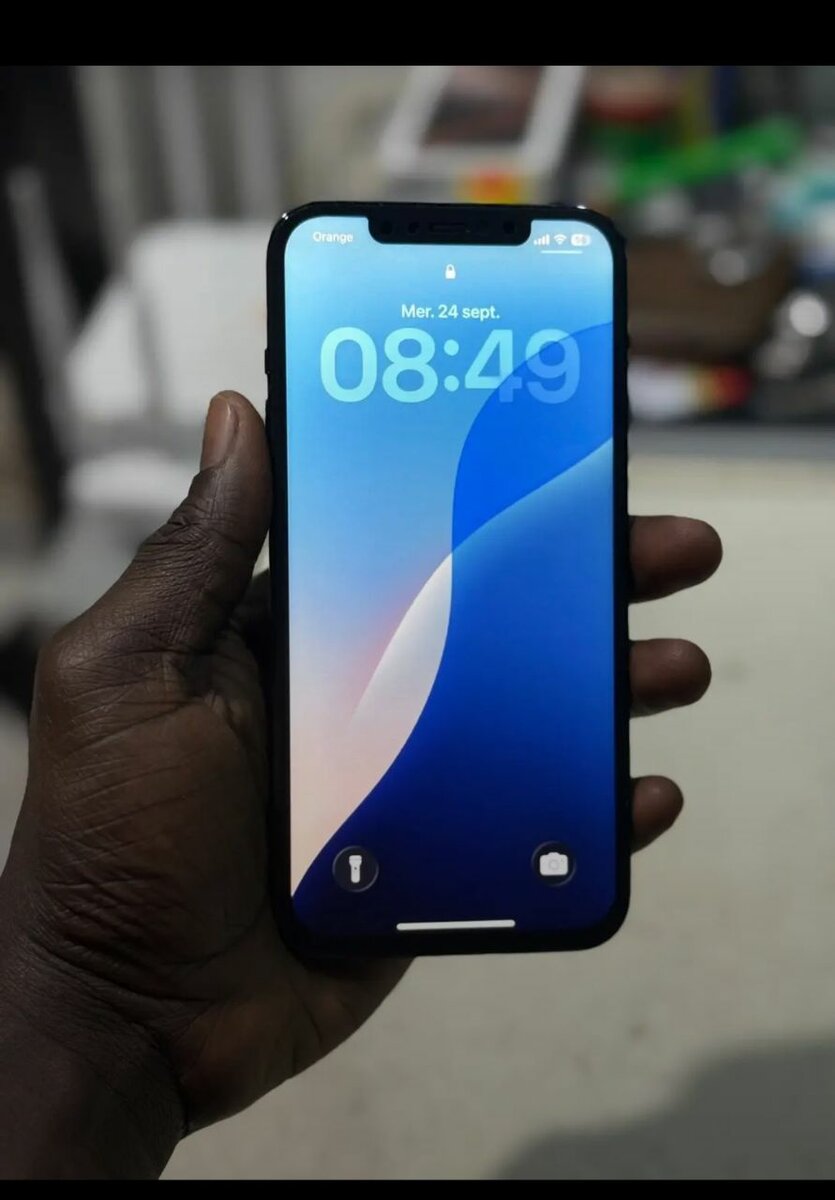 iPhone 12 Pro Max 256GB