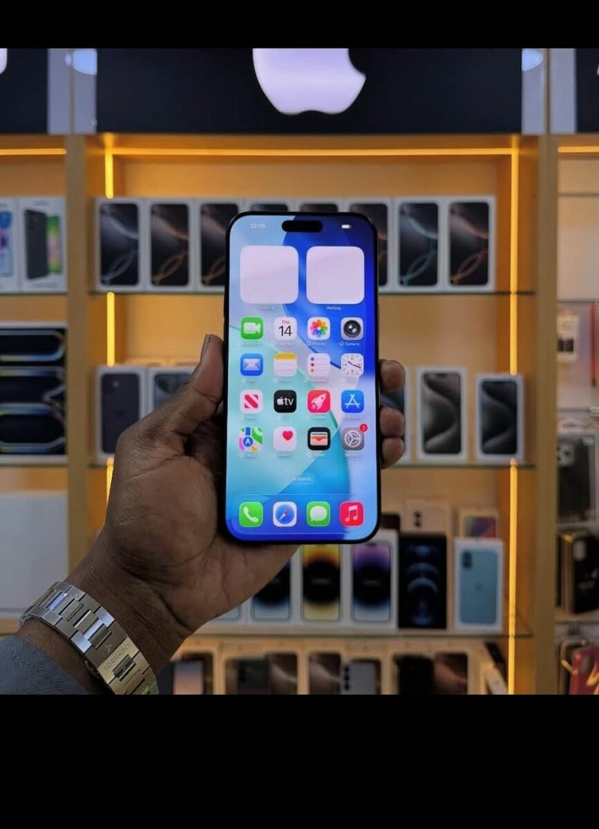 iPhone Pro Max 256GB Noir