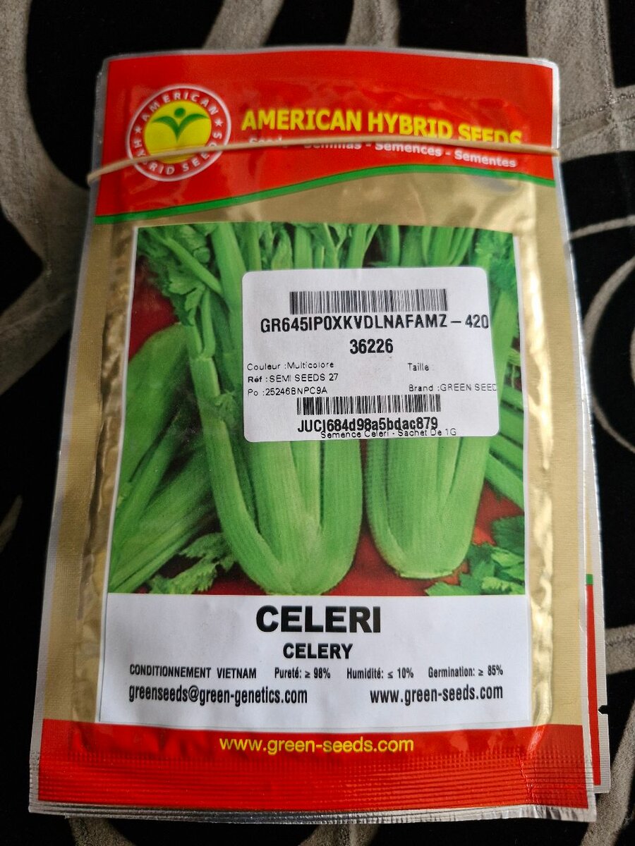 Graines de Céleri