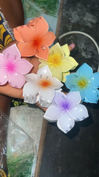 Lumières Fleur LED Décoratives