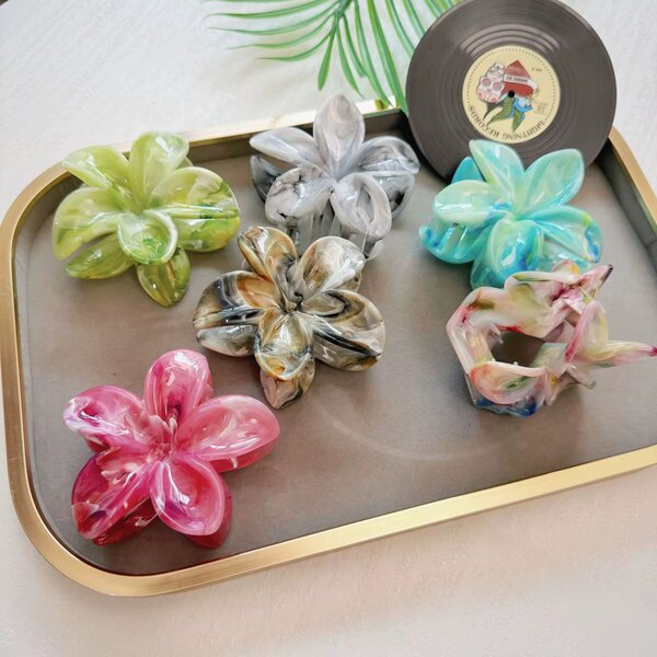 Pinces à cheveux multicolores